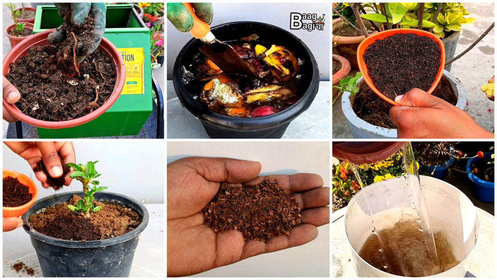 गर्मियों में पौधों में कौन सी खाद डालें : 7 Best Fertilizer For summer