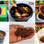 गर्मियों में पौधों में कौन सी खाद डालें : 7 Best Fertilizer For summer