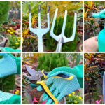 टॉप 10 बागवानी उपकरण ( Gardening Tools ) : जो हर गार्डनर के पास होने चाहिए