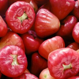red water apple