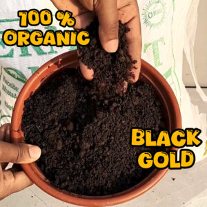 10 KG of Vermicompost - Image 4