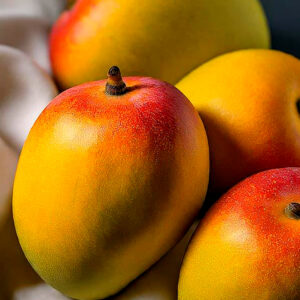 alfanso mango