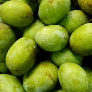 malda mango