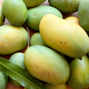dusheri mango